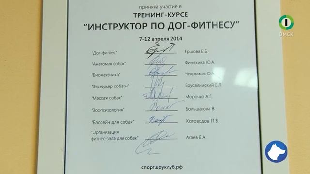 Собачья школа 05 04 2015 смотреть онлайн