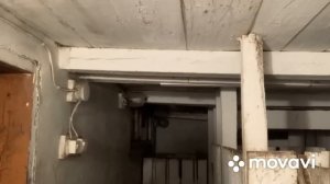 Козы…не отходит послед//