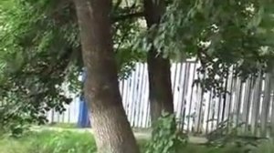 Посёлок Октябрьский