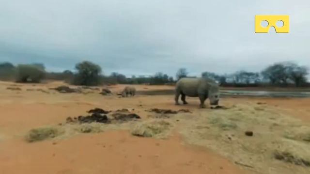 Safari VR - Real scenes android 360 смотреть онлайн