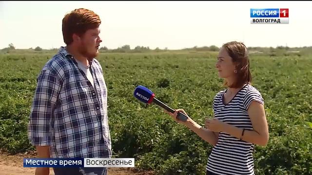 Развитие мелиорации в Среднеахтубинском районе дает ощутимые результаты