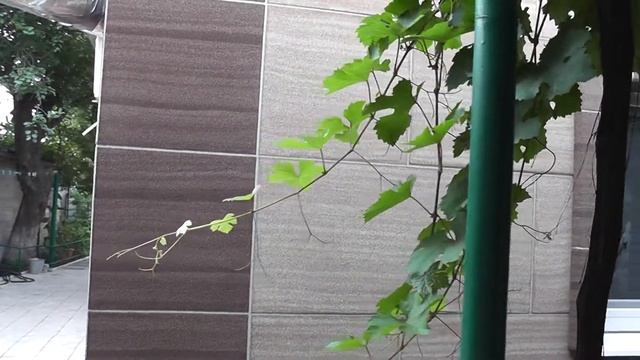 Утепление дома. часть 2 смотреть онлайн