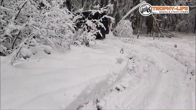 Новоистринские Просеки - ЗИМНИЙ ОФФРОУД - внедорожники на бездорожье 4х4 покатушка Трофи лайф 2022 смотреть онлайн