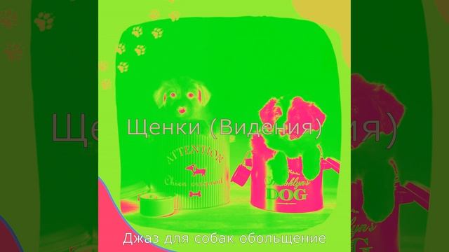 Чувство (Выгул собак) смотреть онлайн