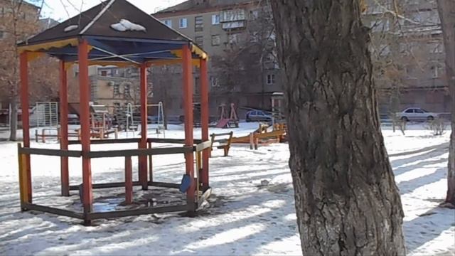 Мусорка на детской площадке по ул. Мира, 45 и 47а смотреть онлайн