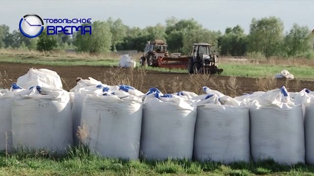 Картофелеводство в Тобольском районе. Посевная смотреть онлайн