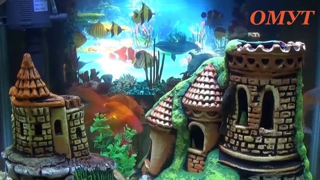 205. ЗАГАДЫВАЕМ ЖЕЛАНИЕ НА ИСПОЛНЕНИЕ...ДА БУДЕТ ТАК!!! смотреть онлайн