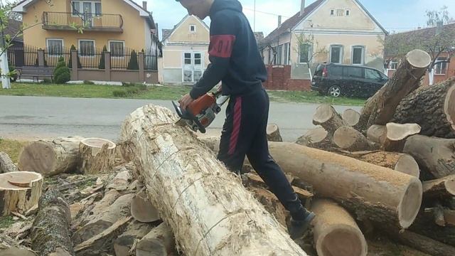 Proba Stihl MS 231 la buștean! смотреть онлайн