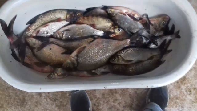 Река Волхов смотреть онлайн