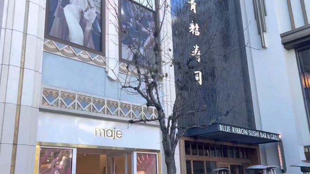 Video Story #76 Воскресный Променад. Весенние Новинки Zara. #zara #shopping #sunday смотреть онлайн