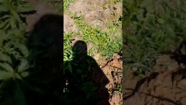 село боголюбова холм-жирковской р-он смоленской р-он смотреть онлайн