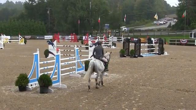 Video of FEU D'AMOUR ridden by MARY KATE OLSEN from ShowNet! смотреть онлайн