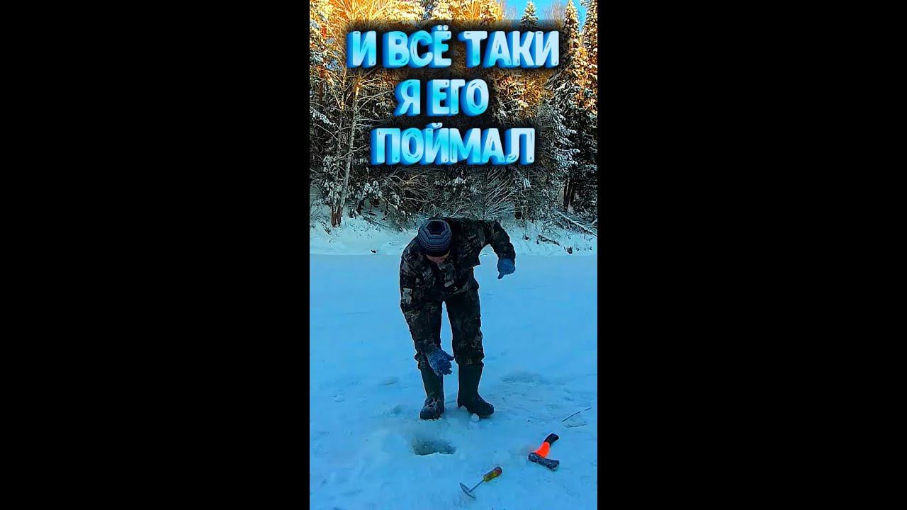 И ВСЁ ТАКИ Я ЕГО ПОЙМАЛ #shorts смотреть онлайн