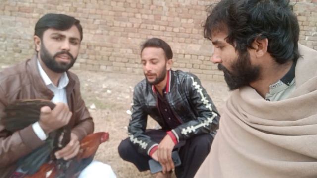 zakki or waseem bhai смотреть онлайн