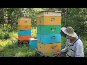 постановка четвертого корпуса