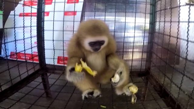 Тайланд, Пхукет 2015 смотреть онлайн