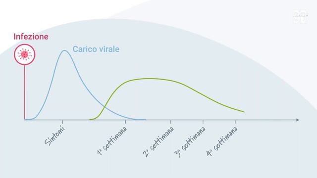 Cosa sono gli anticorpi IGA e IGG? - SCIENCE IN A MINUTE by SSPH+ смотреть онлайн