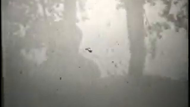 яхта-джонка ноябрь 93г. 4 град.тепла смотреть онлайн