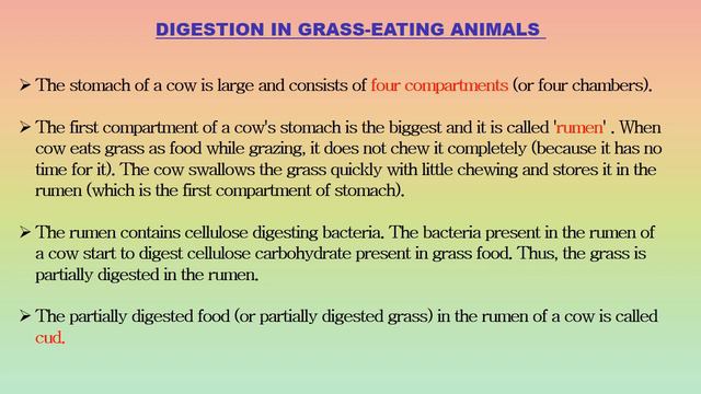 DIGESTION IN GRASS EATING ANIMALS смотреть онлайн