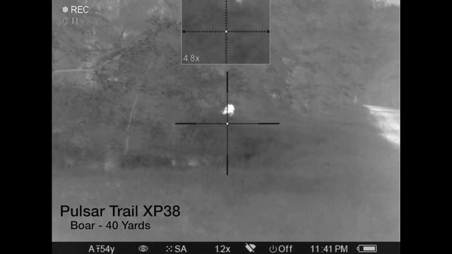 45 Hogs Down | Hog Hunting With The Pulsar Trail XP38 And XP50 Thermal Scopes