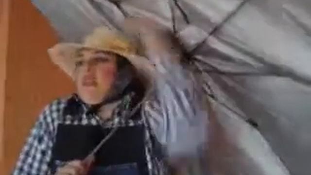 Petunia del pilar смотреть онлайн