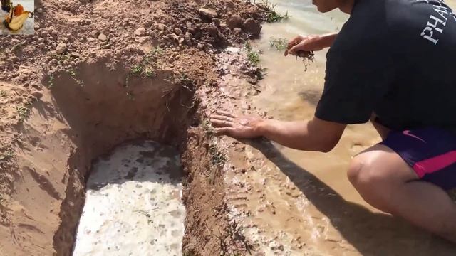 РЫБАК НАКАЗАЛ СОМОВ ЗА ОБЖОРСТВО Вот это рыбалка 2022 ! ? @Metod_lovli_monstrov ◄ смотреть онлайн