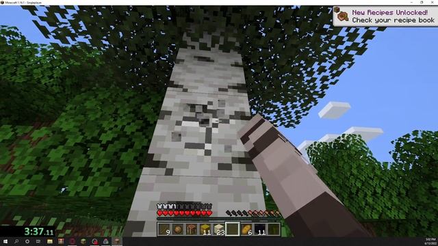 Failed First Attempts (Java Minecraft Speedrun 1.16.1 Glitchless Any%) смотреть онлайн