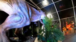 Выставка динозавров/ Живые динозавры/ The Best of Dinosaurs Jurassic /Огромные Динозавры/ DINO REX