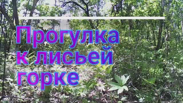 Прогулка к лисьей горке (бывшее стрельбище).
