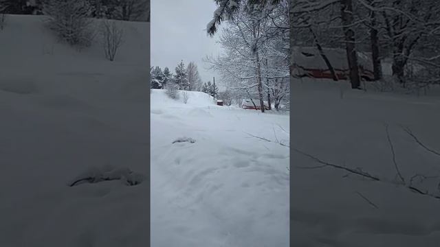 Зимняя сказка. смотреть онлайн