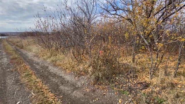 Выбор участка для бизнеса или дома при выборе какие бывают проблемы цена участка удваивается смотреть онлайн