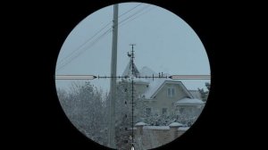 Ликвидация серой ОПГ. Crow Hunting. Кроухантинг. Corvus corone cornix