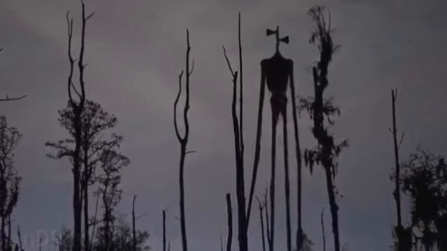 Все звуки транслируемые Сиреноголовым за 2020 год | Сборник звуков Сиреноголового за 2020 год смотреть онлайн