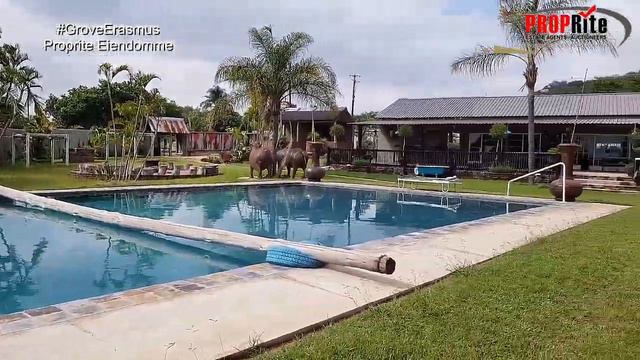 Naboomspruit Wedding venue | Game Farms For Sale Limpopo South Africa смотреть онлайн