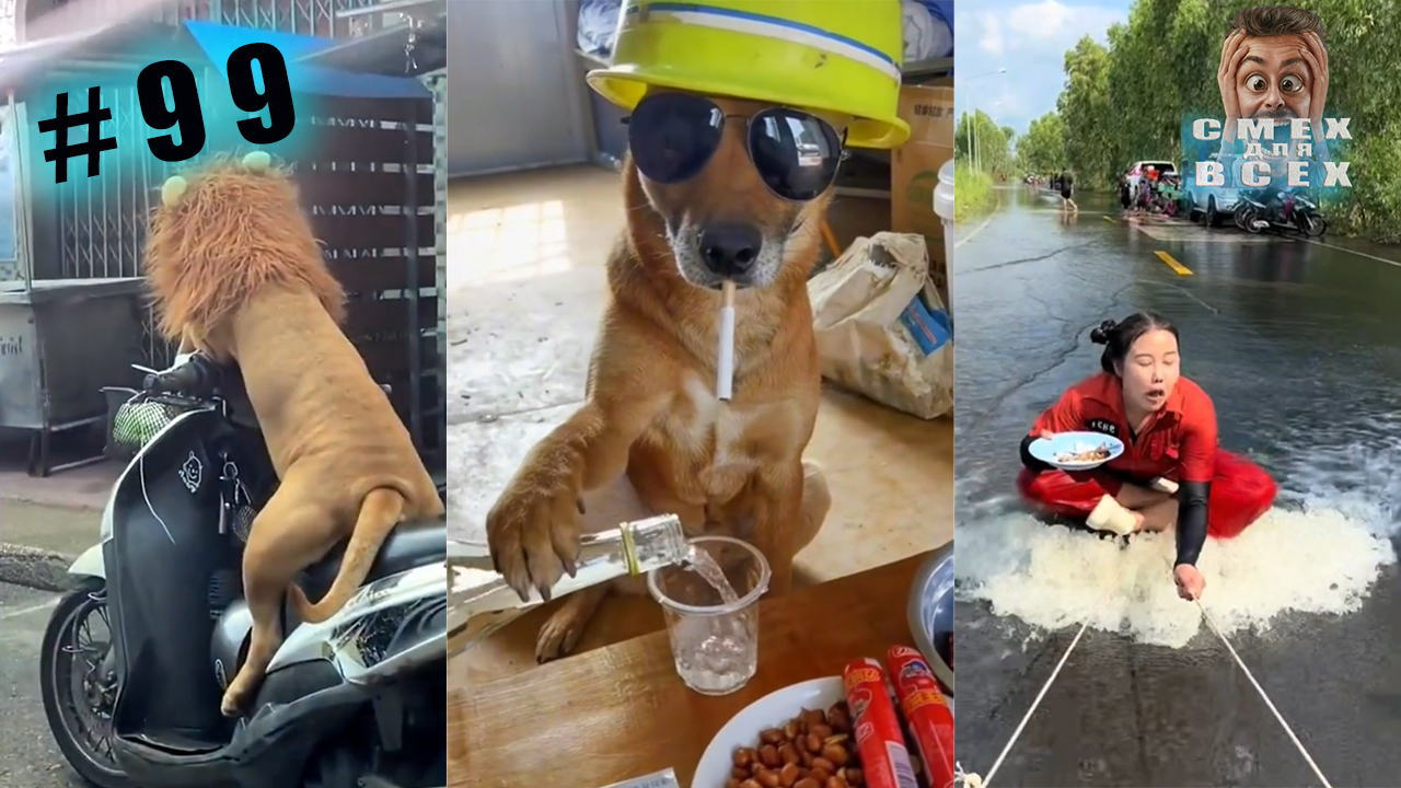 ПРИКОЛЫ 2023 СМЕШНЫЕ ВИДЕО ЧУДИКИ ИЗ ТИК ТОК №99 смотреть онлайн