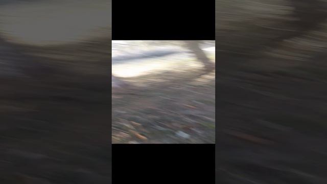 Прятки на стадионе с друзьями 1 часть смотреть онлайн