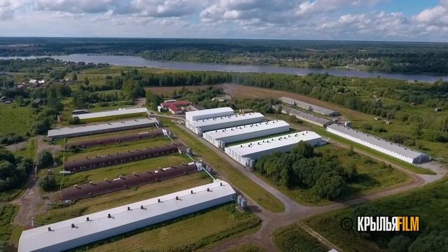 Пошехонская птицефабрика смотреть онлайн