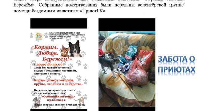 Отчет о работе нашего фонда "Ключ Добра" смотреть онлайн