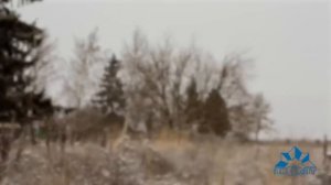 Как построить дом из сэндвич-панелей