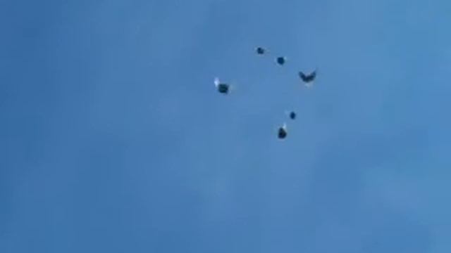 курские турманы егоркина василия смотреть онлайн