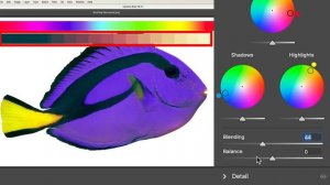 Complete guide lightroom color grading tool