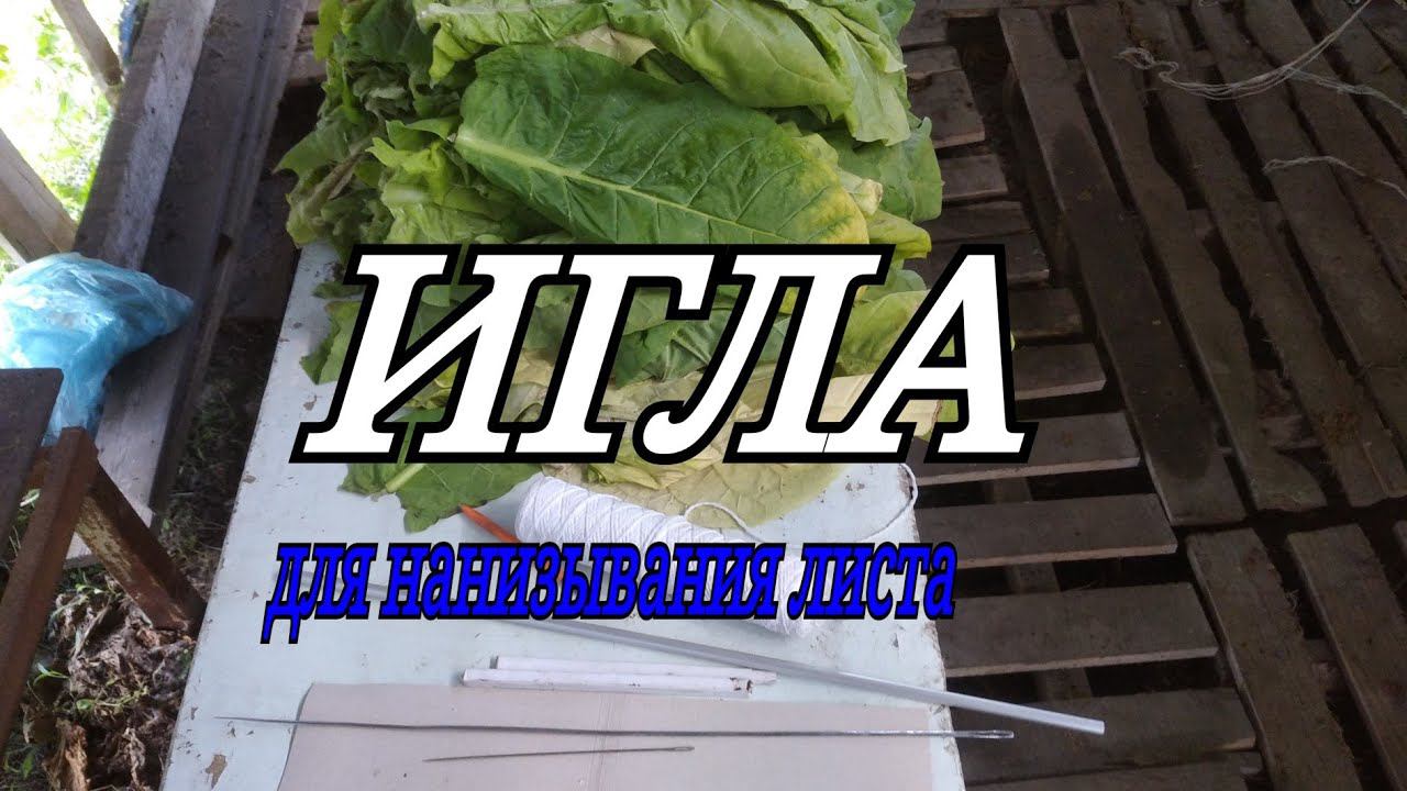 ИГЛА ДЛЯ НАНИЗЫВАНИЯ ЛИСТА смотреть онлайн