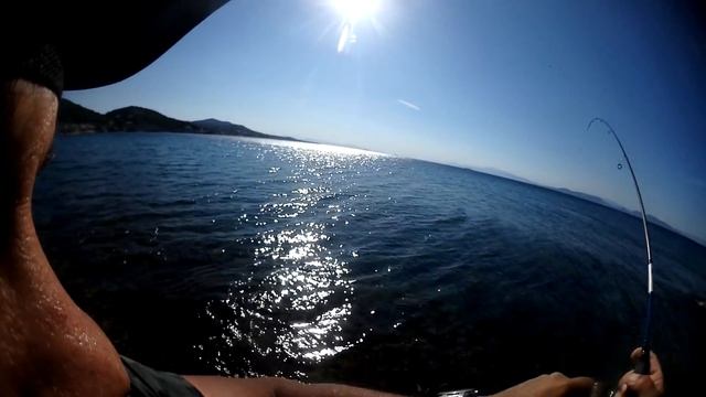 Light Game for White Sea Bream with Gravity Pencil 50 ??? смотреть онлайн