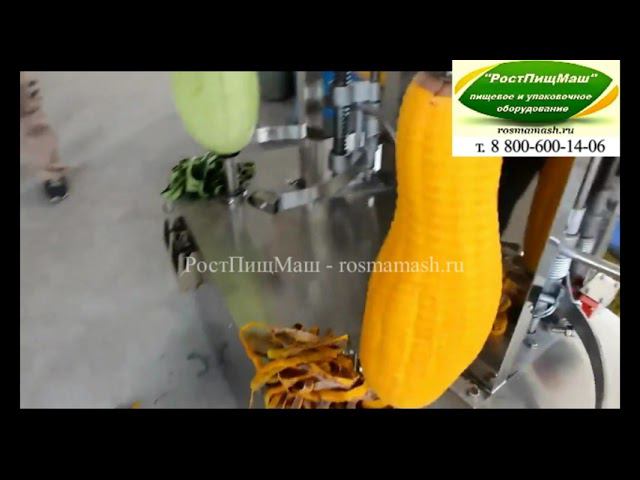Обзор чистки тыквы на двух стойках SL-TYW-150-2 от РостПищМаш смотреть онлайн