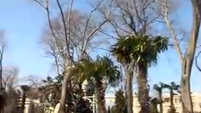 Губернаторский садик..mp4 смотреть онлайн