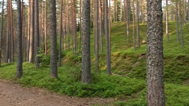 Ленинградская область