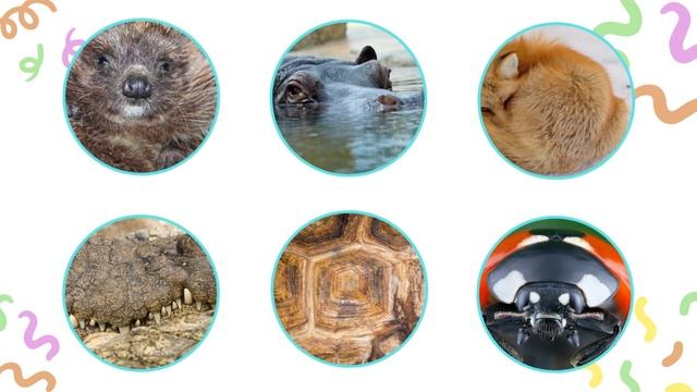 Игры для развития памяти и мышления малыша ! Угадай животных ! Развивающие мультики для детей