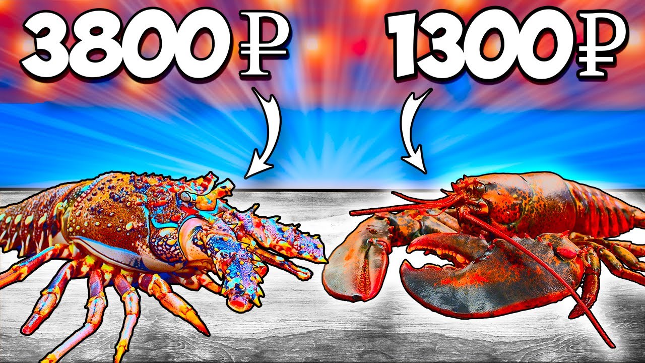 ЛОБСТЕР VS ЛАНГУСТ ЧТО ВКУСНЕЕ смотреть онлайн