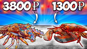 ЛОБСТЕР VS ЛАНГУСТ ЧТО ВКУСНЕЕ