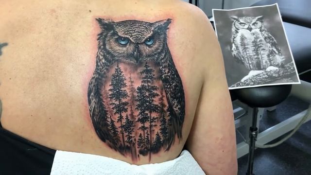 Арт сова смотреть онлайн